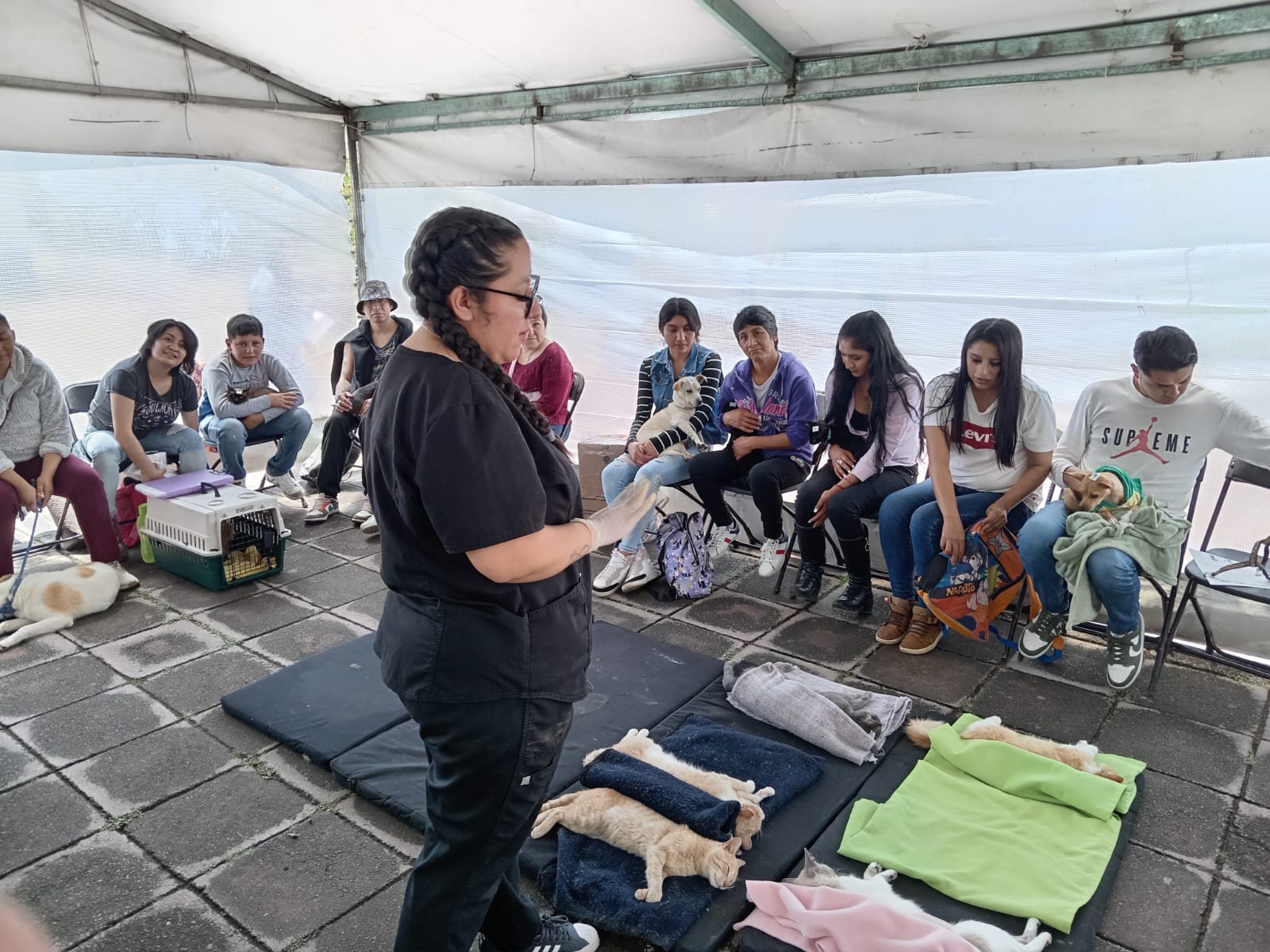 Almoloya de Juárez intensifica lucha contra sobrepoblación de animales callejeros