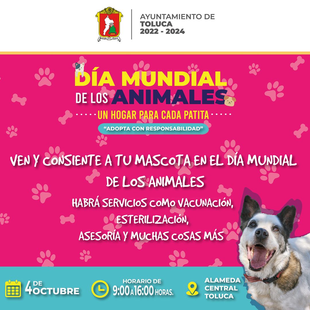 Toluca celebra el Día Mundial de los Animales