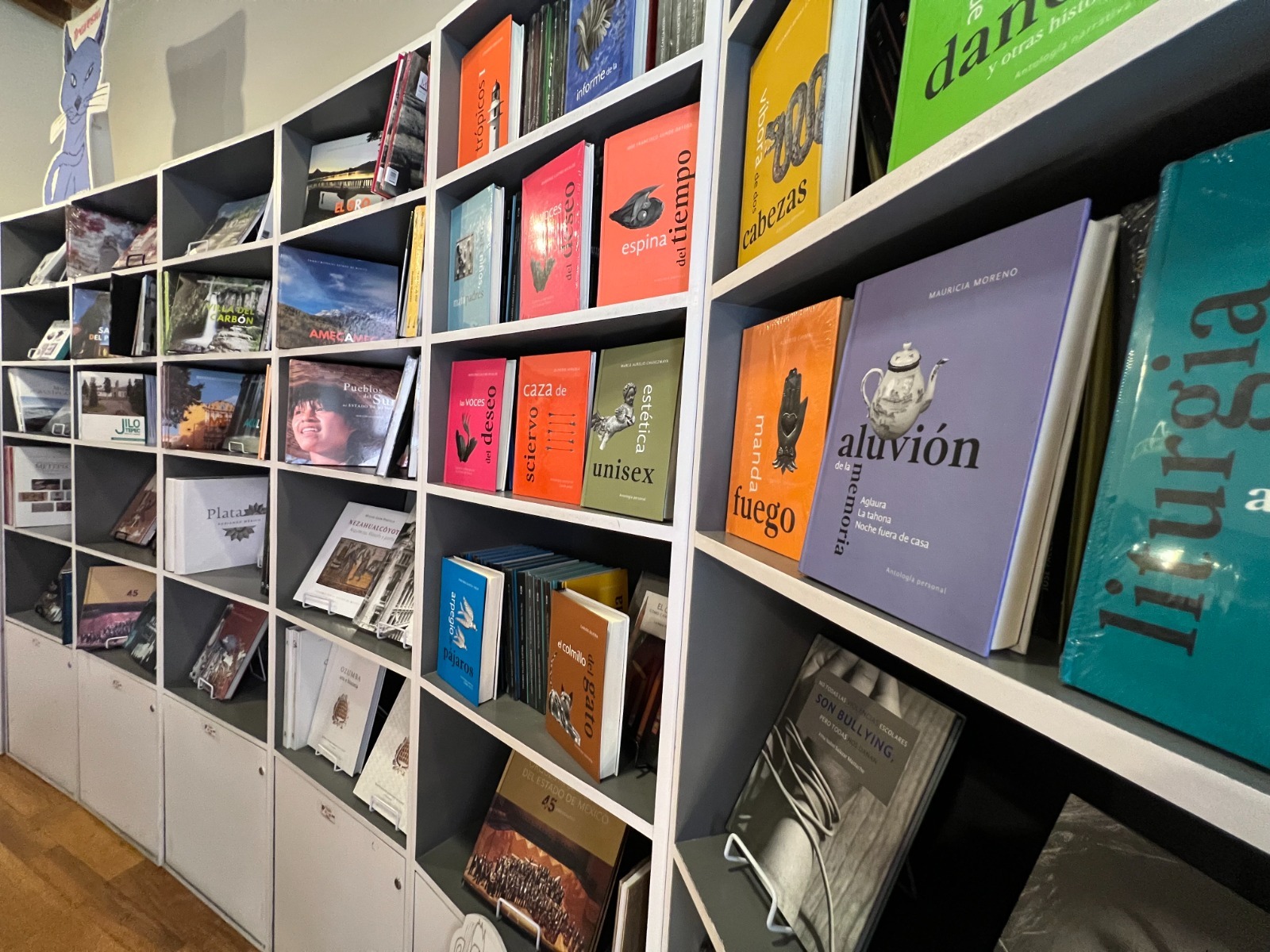 Certamen Nacional Literario Laura Méndez 2025 abre convocatoria