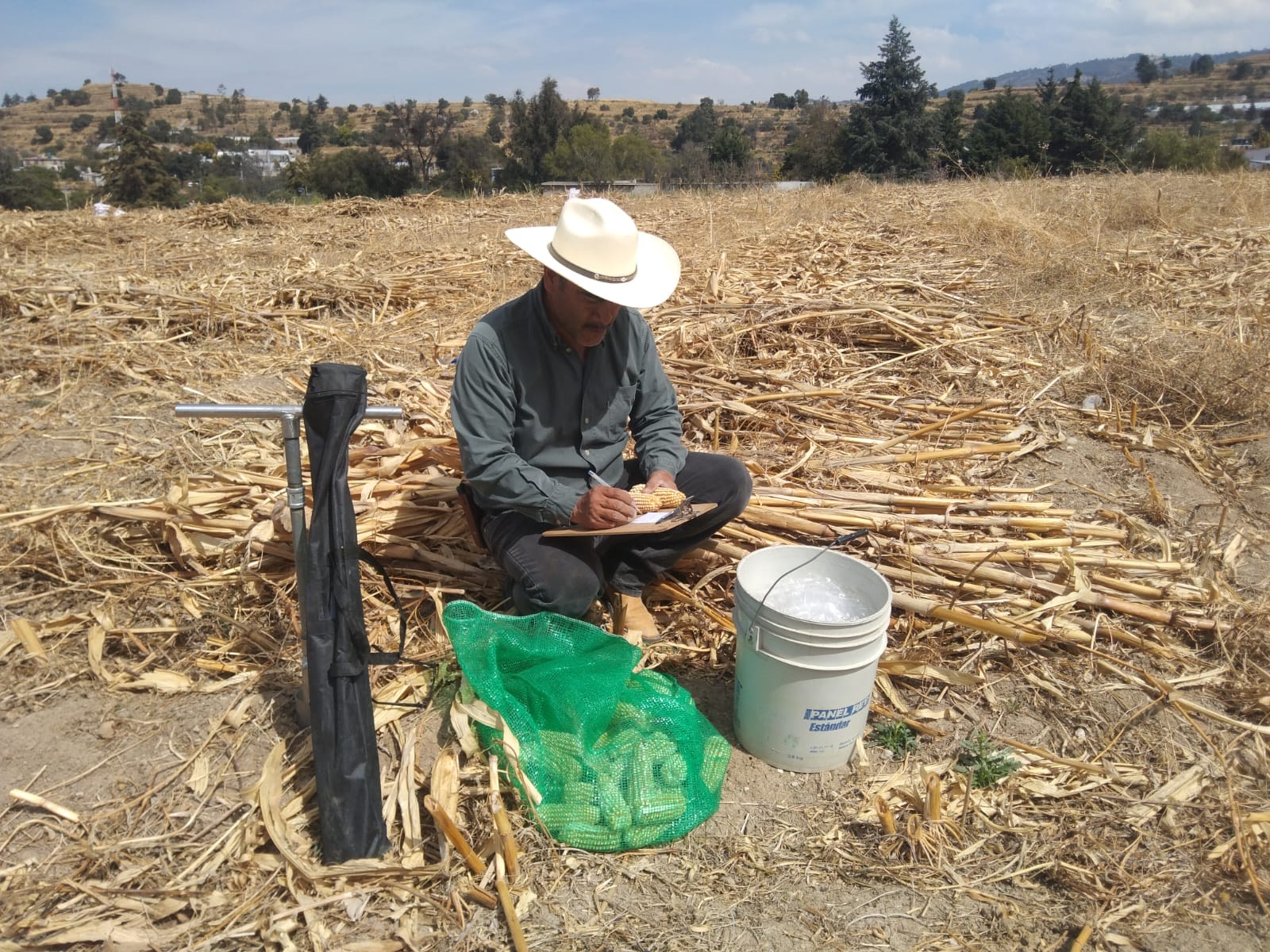 Edomex lanza convocatoria para concurso de maíz y amaranto agroecológico