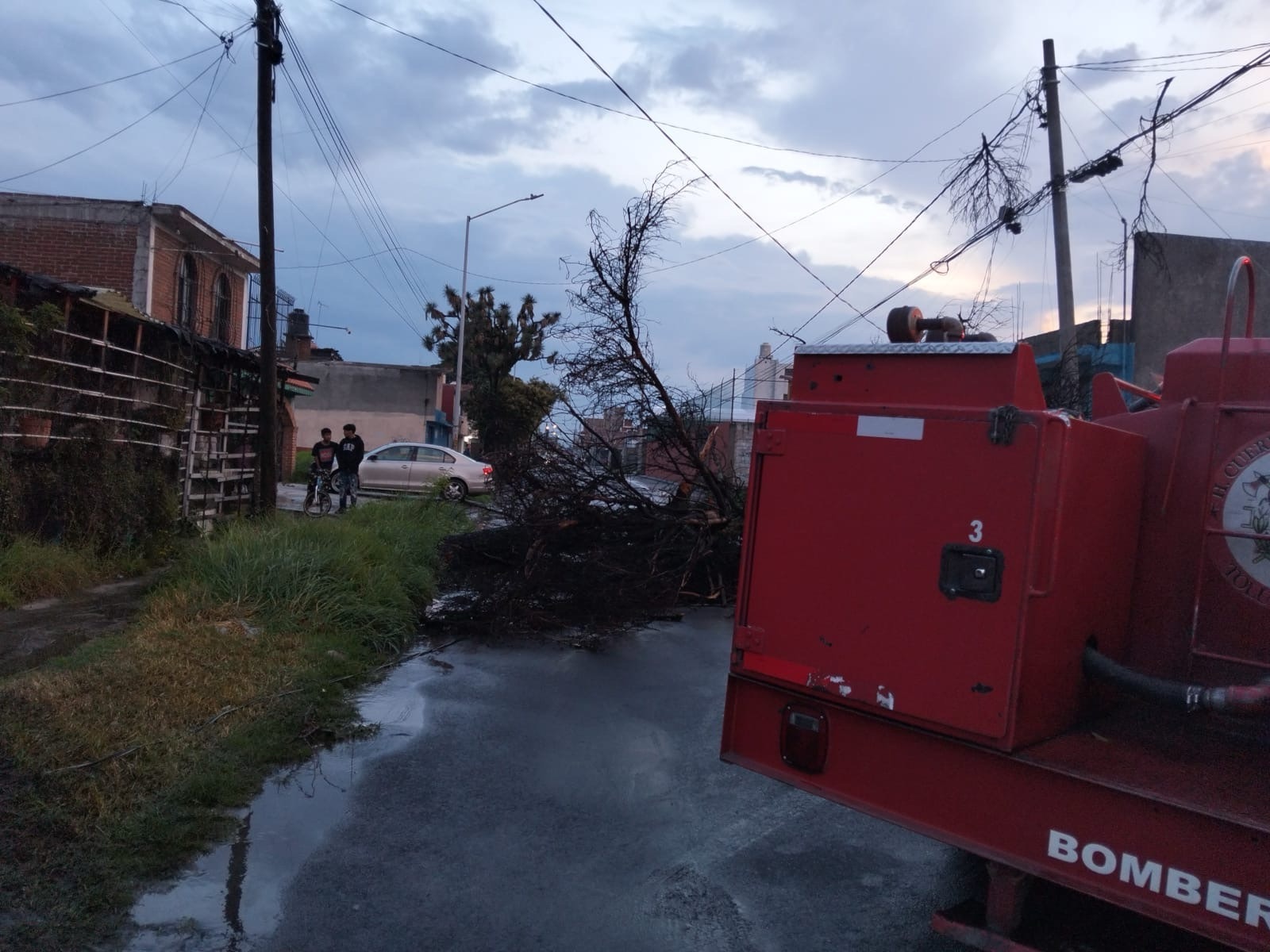 En Toluca lluvias derriban árboles y movilizan cuerpos de emergencia
