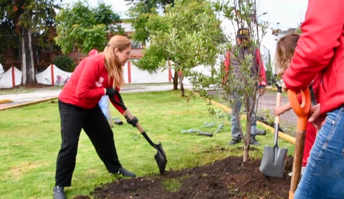 San Mateo Atenco planta miles de árboles en un día